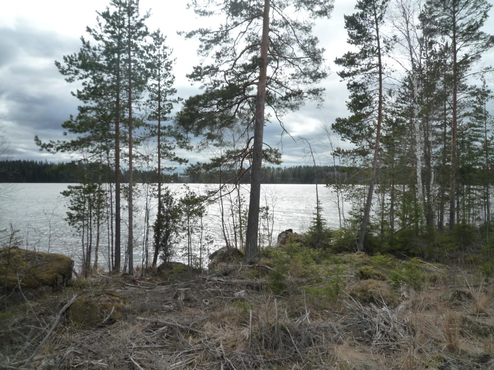 Myräntie 105