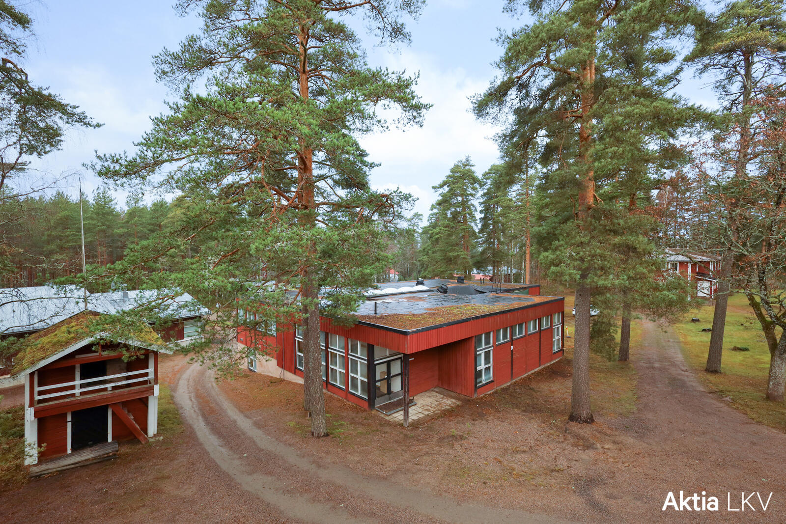 aitta ja lättähattu