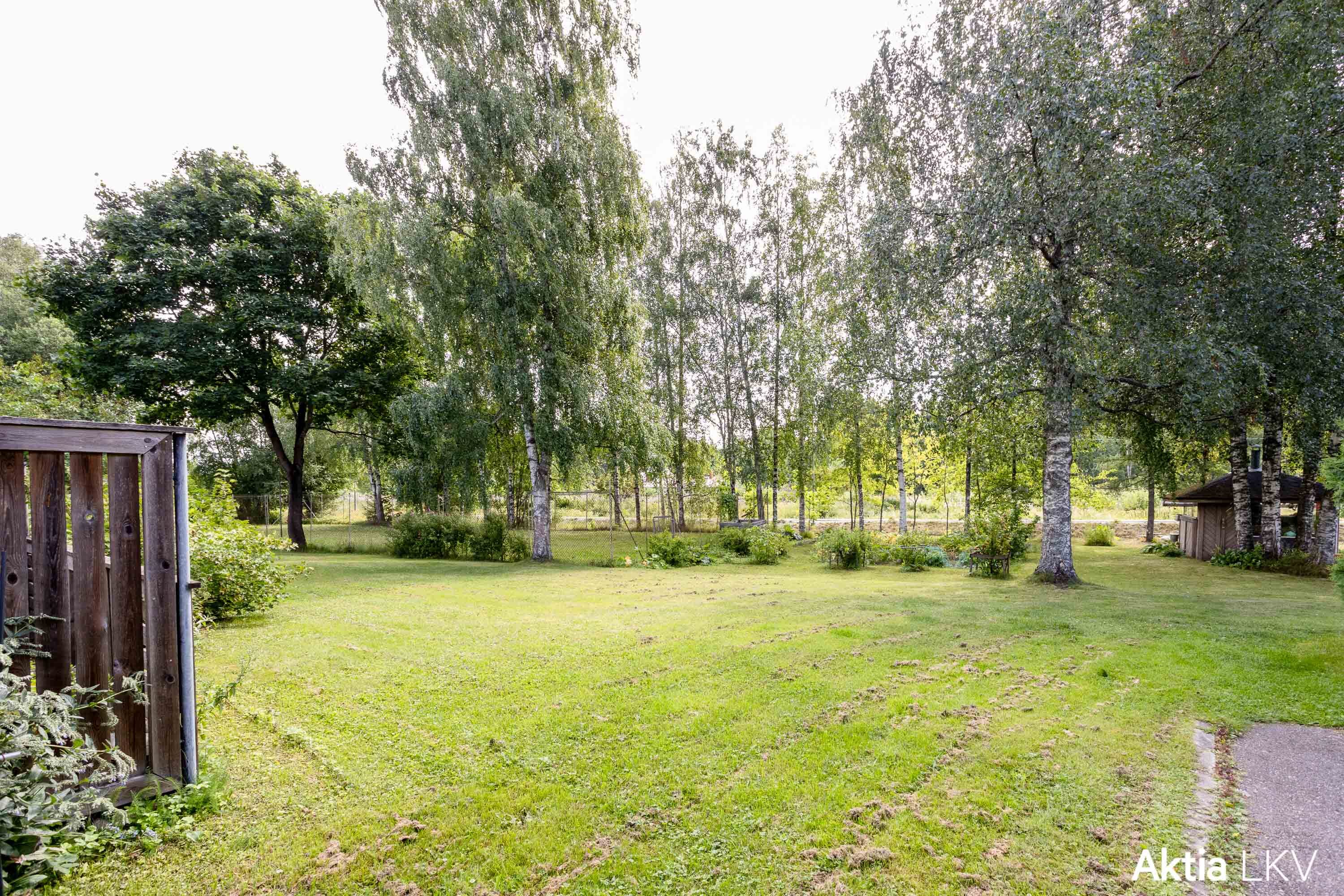 Puistomainen takapiha