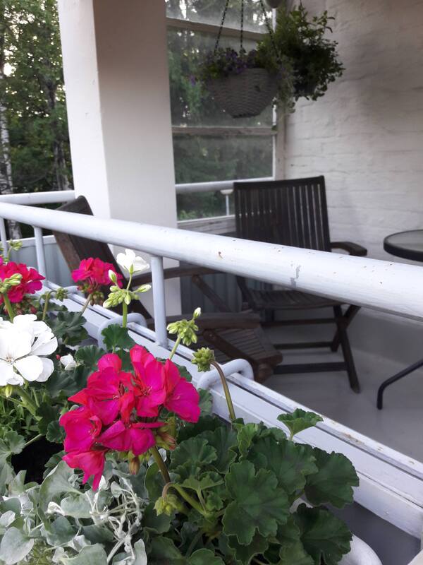 Kesäinen prvekekuva 2