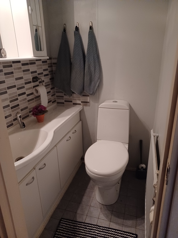 erillinen wc