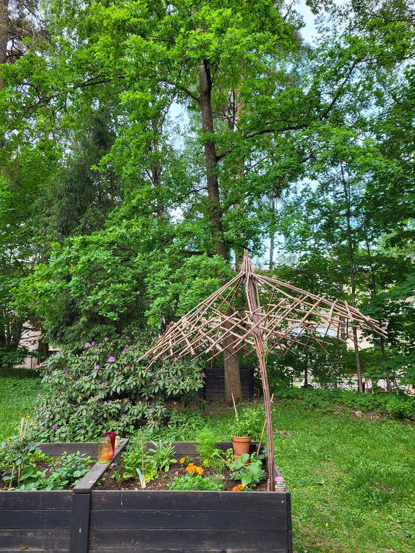 Istutuslaatikot kesällä