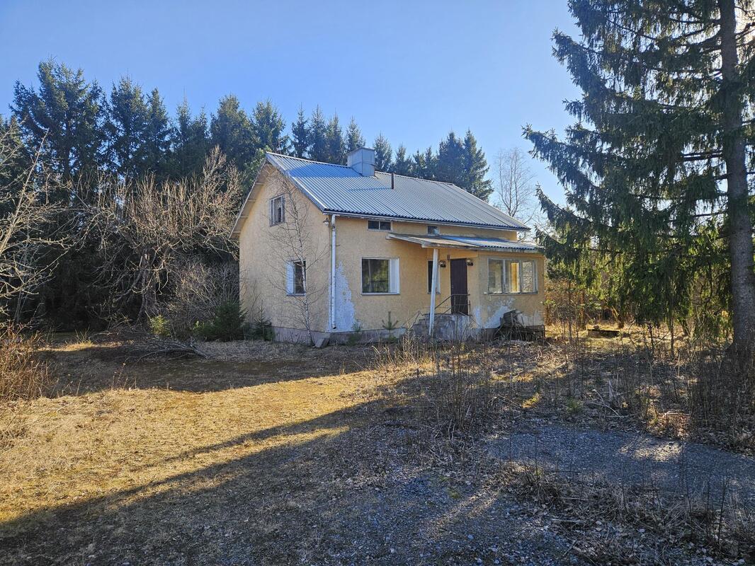 Tammitien tontti ja rakennus