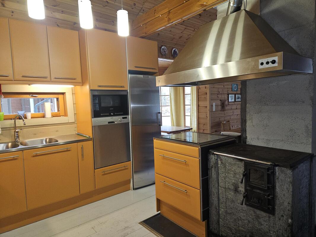 Sähköliesi ja puuliesi