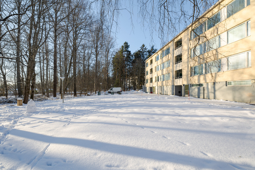 iso piha-alue joka rajautuu siirtolapuutarhaan