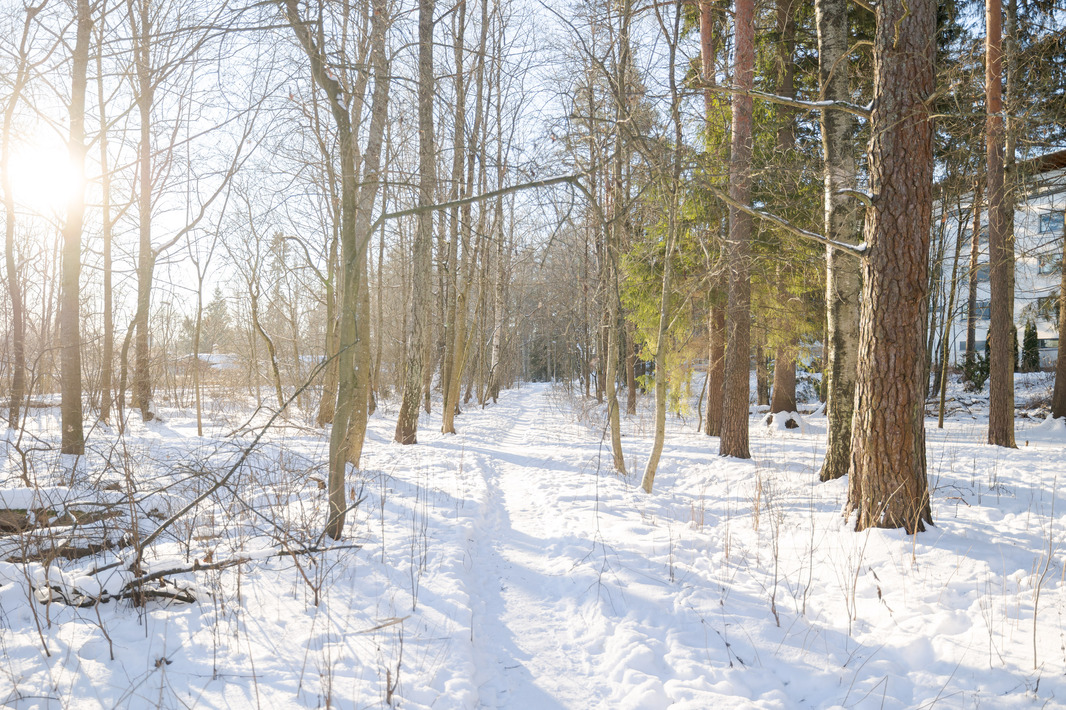 upeat ulkoilureitit heti pihasta