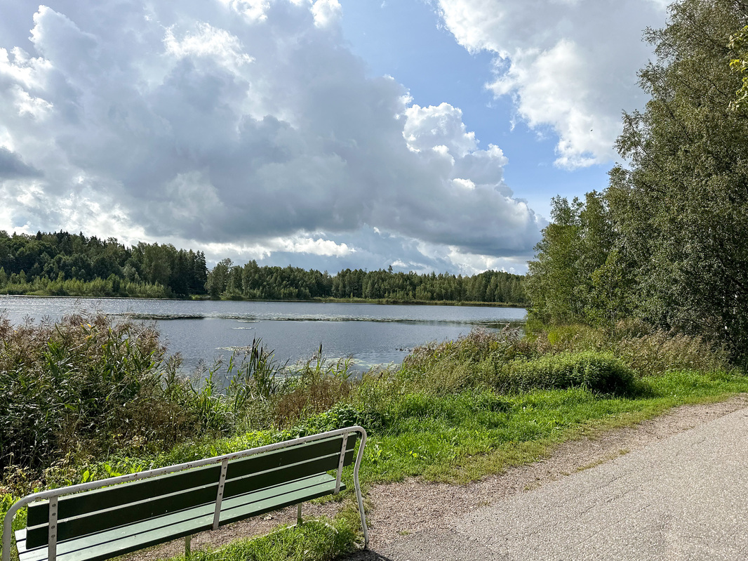 Lammaslampi kesäaikaan