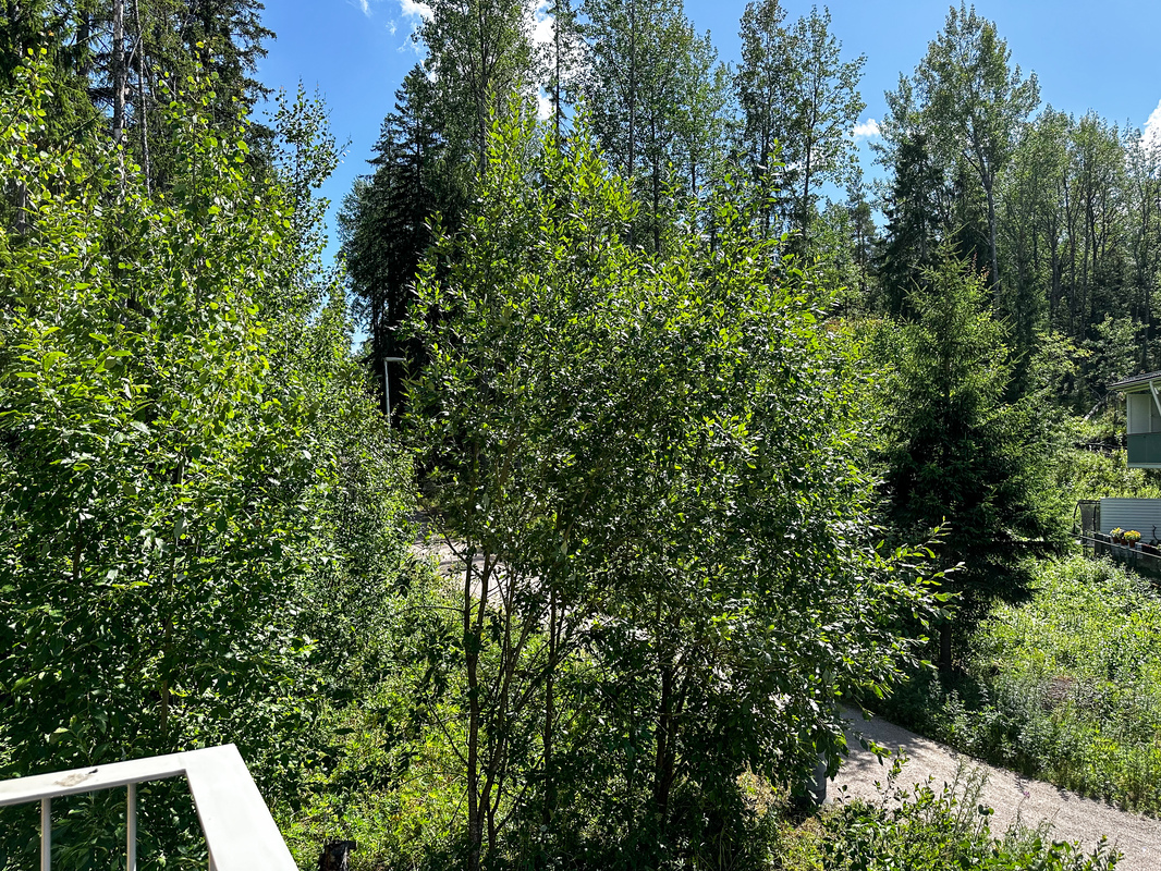 Näkymä parvekkeelta