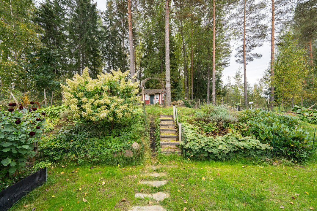 Suojaisa vehreä piha ja tontti