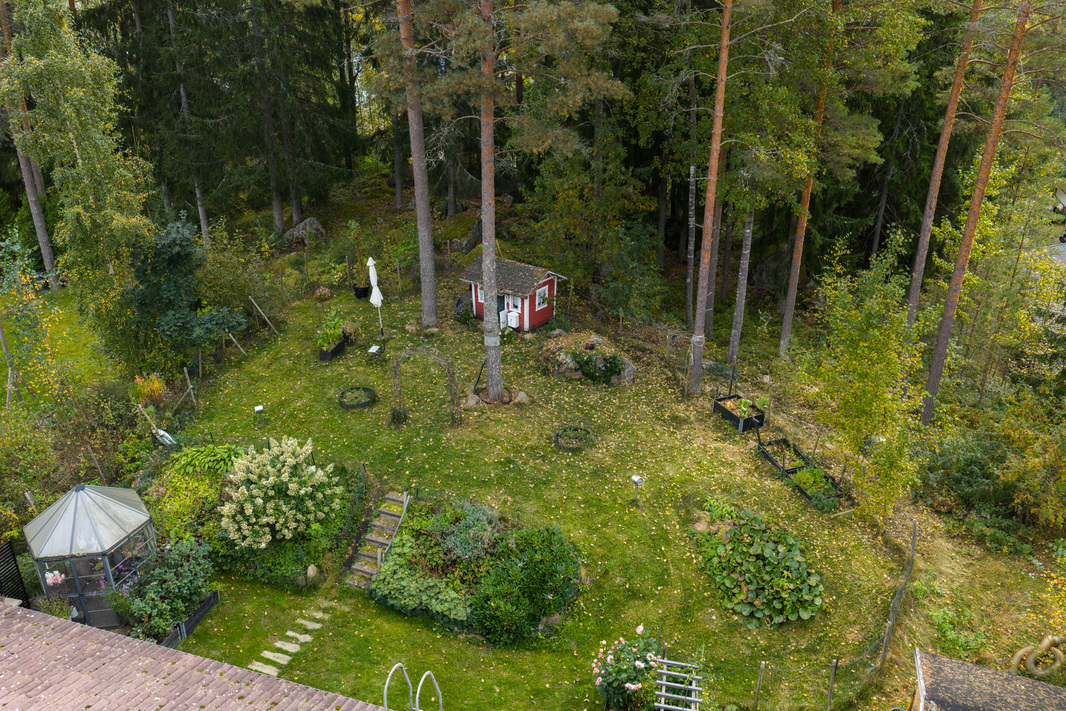 Vehreä tontti rajautuen metsäalueeseen