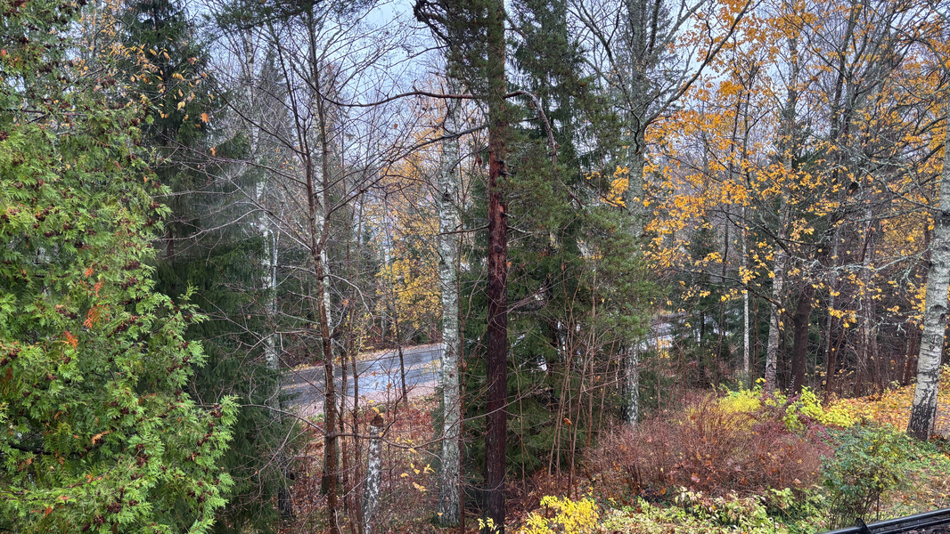 Näkymät keittiön ikkunasta