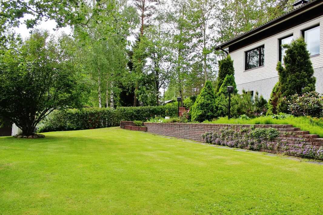 Omistajan ottamia kesäkuvia