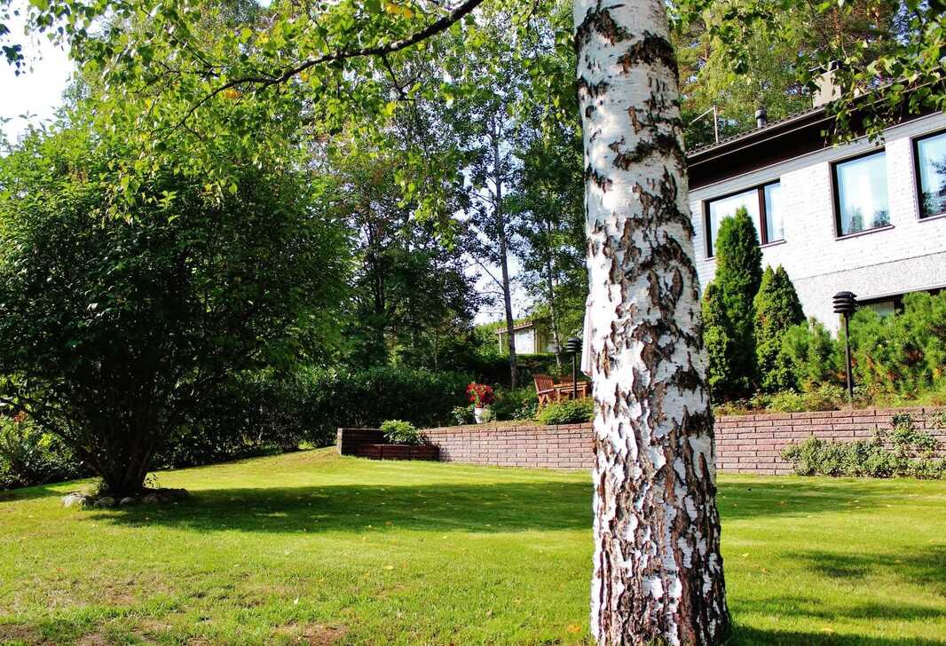 Omistajan ottamia kesäkuvia