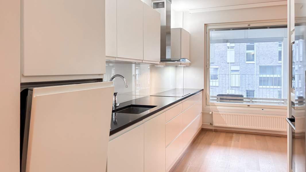 Keittiössä kivitasot ja integroitu astianpesukone