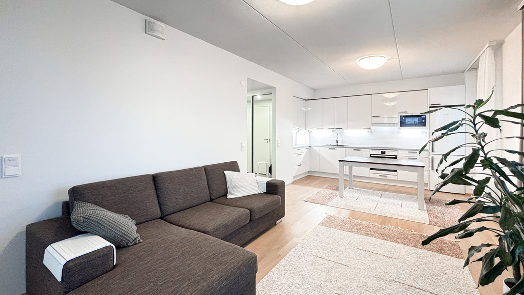 Avara olohuone ja avokeittiö