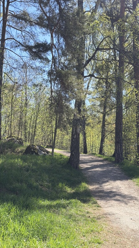 Vierestä lähtee kauniit lenkkipolut