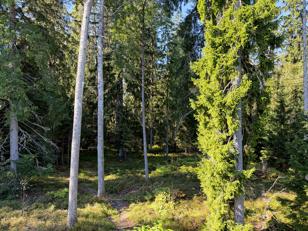 Näkymä parvekkeelta