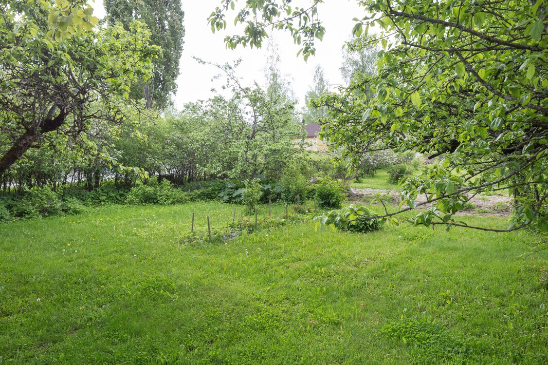 Tontin pinta-ala on 1000 m2.