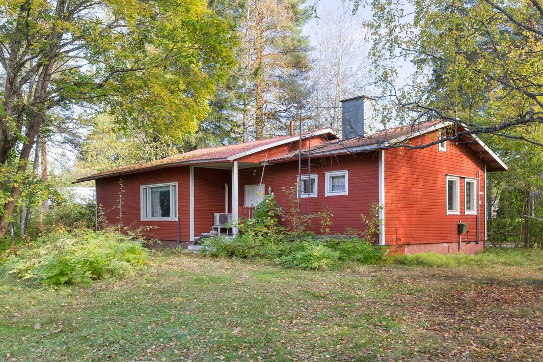 Puurunkoinen asuinrakennus myydään purkukuntoisena.
