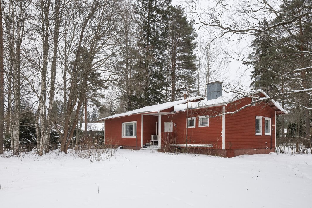 Puurunkoinen asuinrakennus myydään purkukuntoisena.