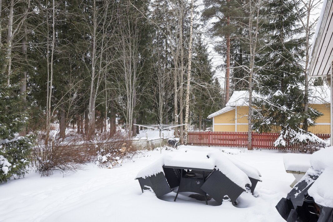 Tontin takaosa rajoittuu puistoalueeseen.