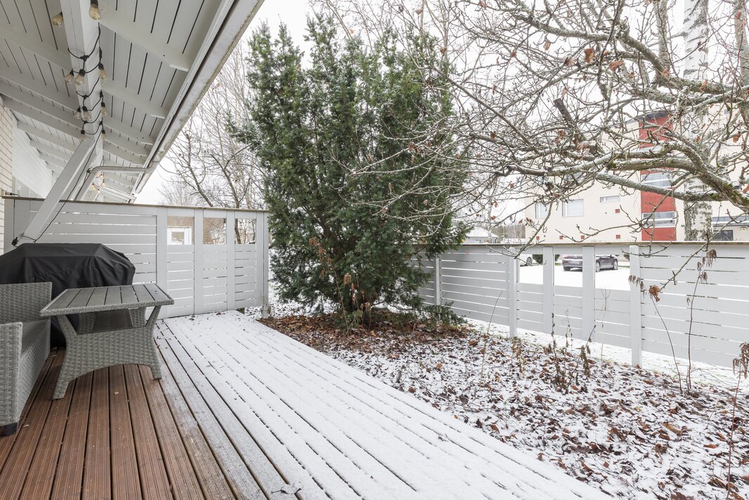 Pihalla on ympärivuoden vihreänä pysyvä puu, joka tuo näkösuojaa.