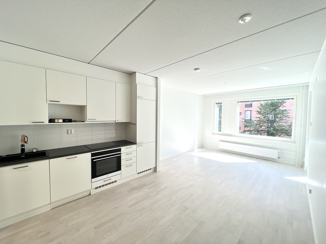 Olohuone ja avokeittiö