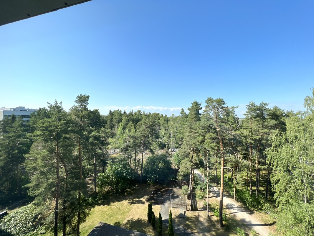 Maisemakuva takapihalle