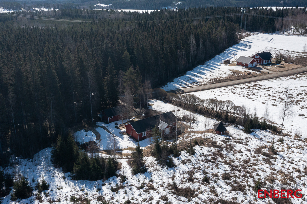 Pihapiiri ennen autokatoksen takana olevan metsän kaatoa