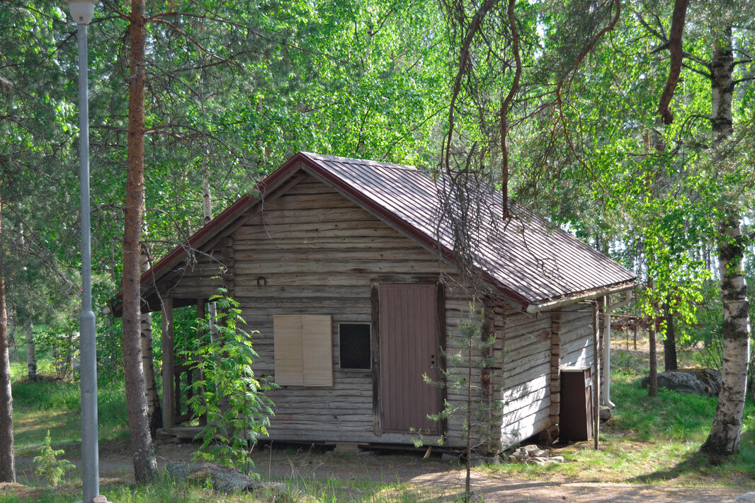  hirsiaitta/ puuvaja