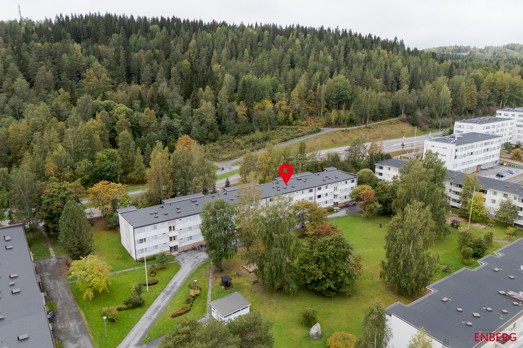 Näkymää taloyhtiön puistomaiselle etupihalle