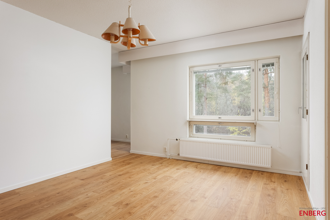 Olohuone keittiön suuntaan