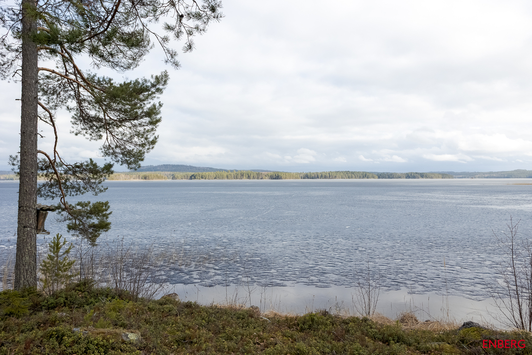 Ranta aluetta