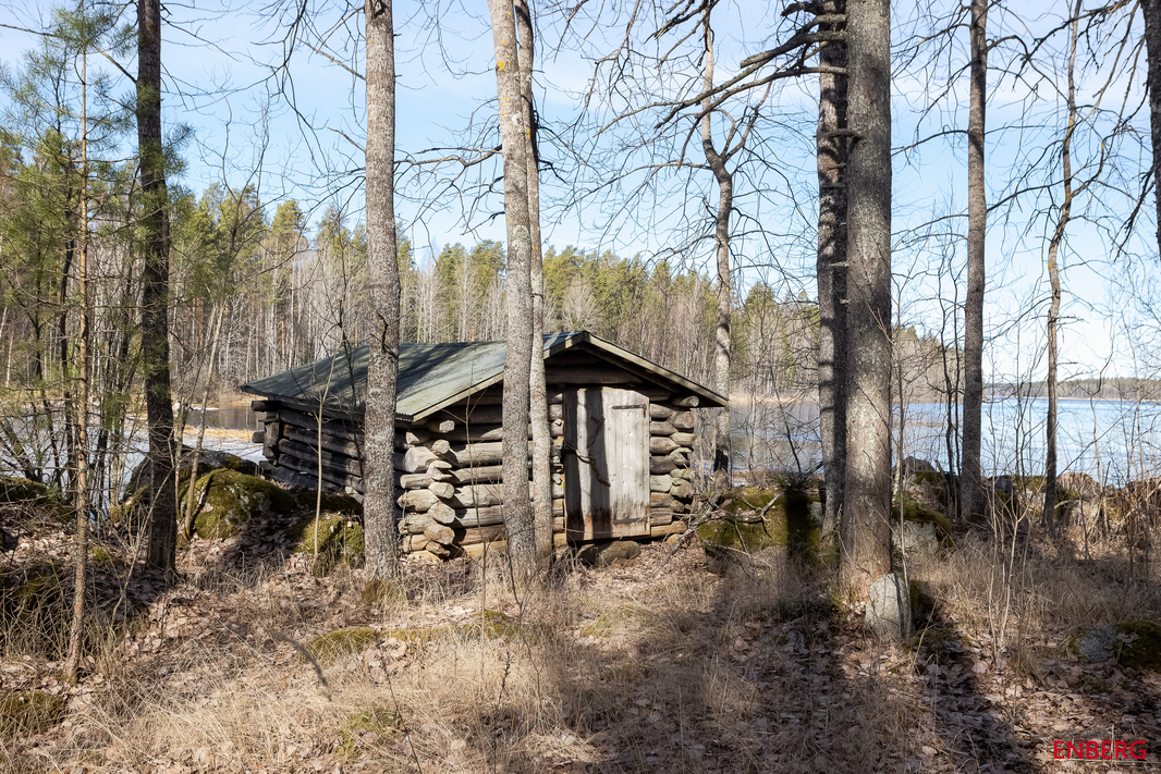 Venevaja