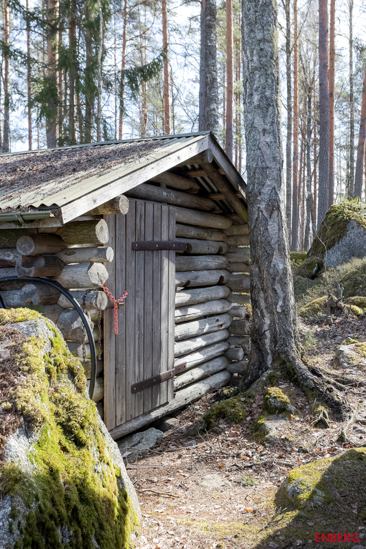 Puuvaja