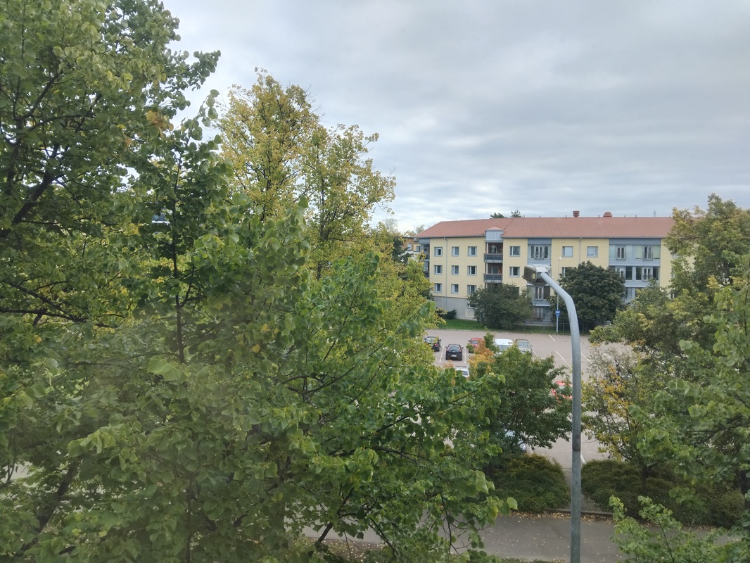 Ikkunanäkymä