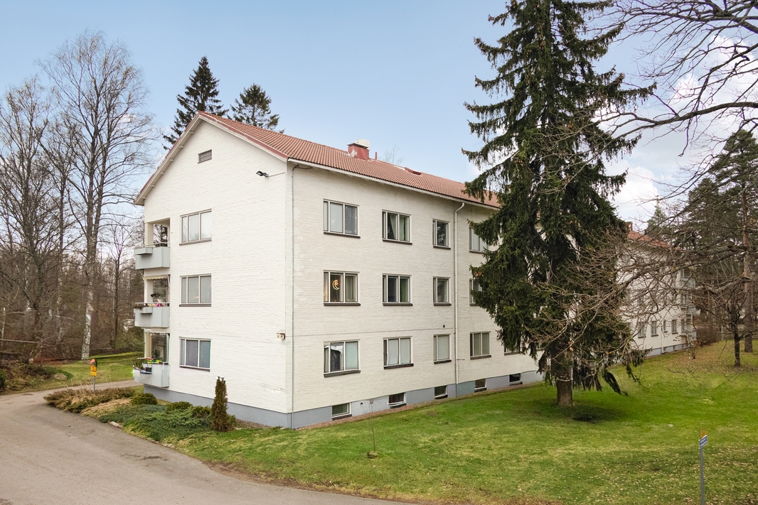 Taloyhtiön takapiha