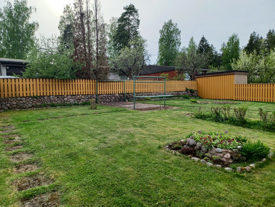 Piha jaettu ruusupensas aidalla