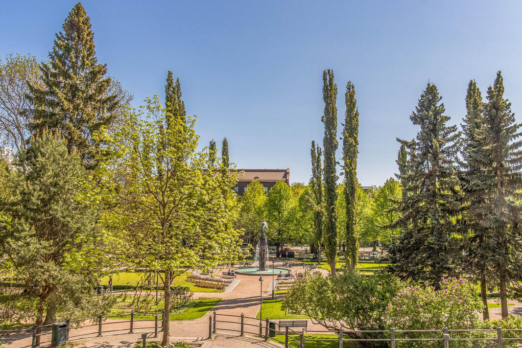 Näkymä Sibeliuksen puistoon