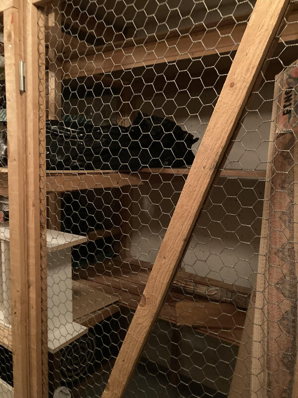 Asunnon häkkivarasto