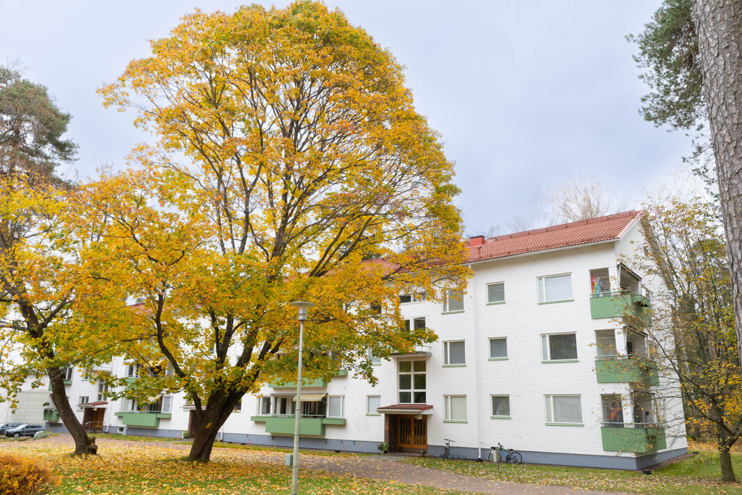 Viljonpolku 6
