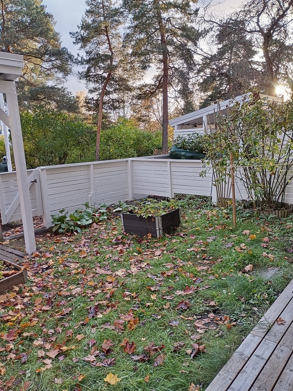 Maalattu pihaa kiertävä aita