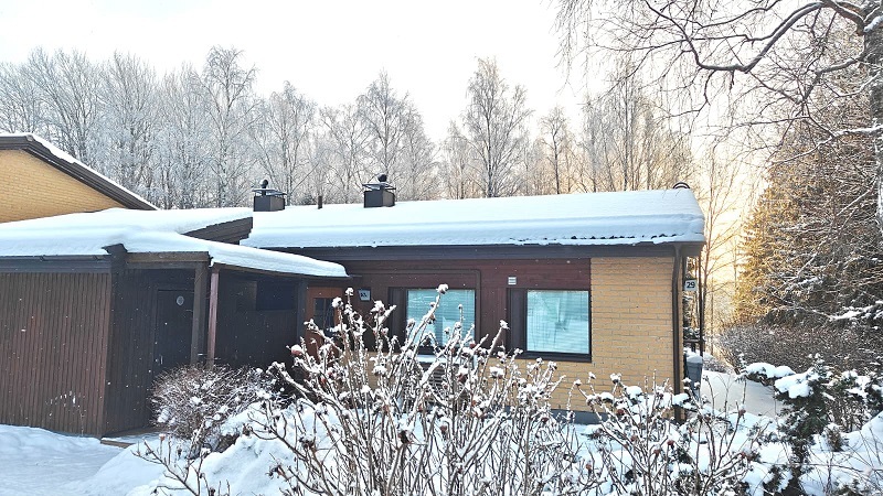 Talvikuva etupihalta