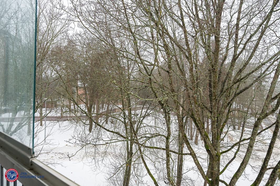 Parvekenäkymä, joka kesäaikaan on todella vehreä.