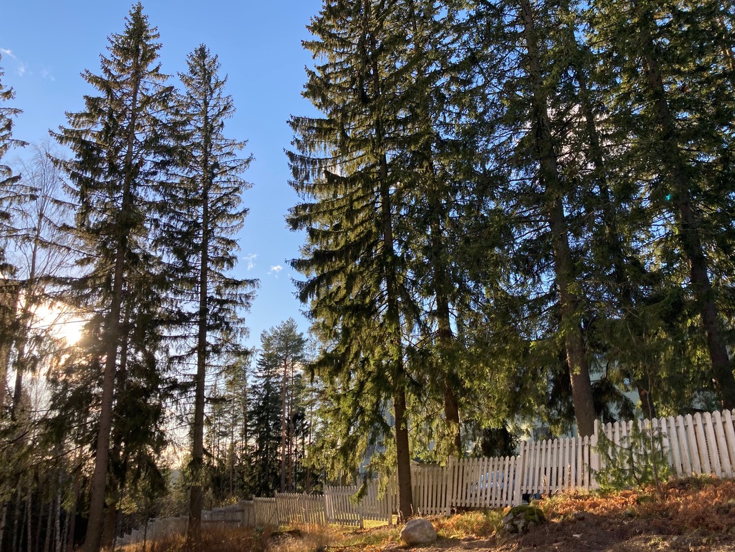 näkymä parvekkeelta lounaaseen