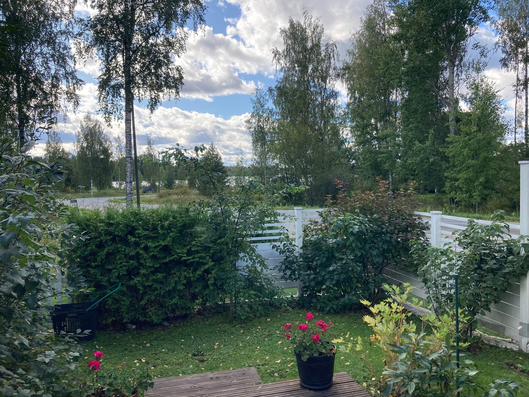 kesänen piha