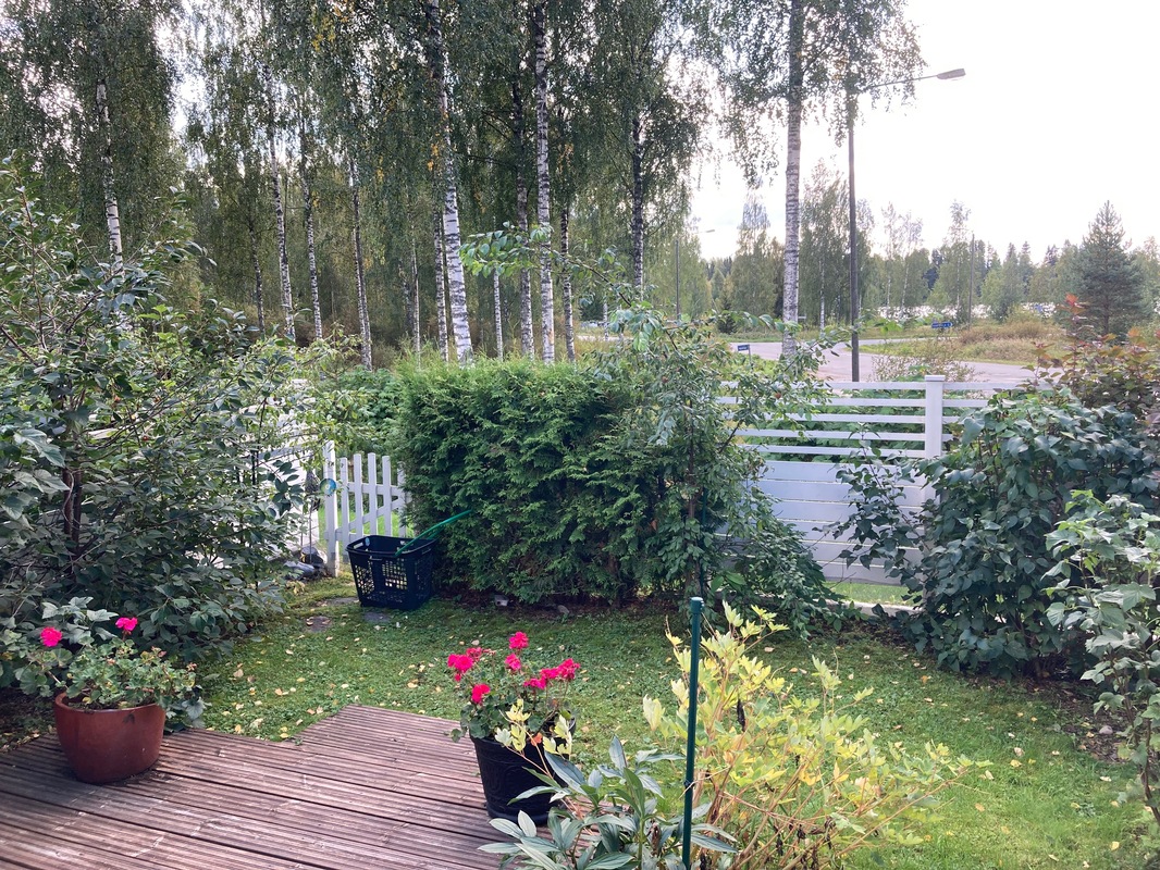 kesäinen piha