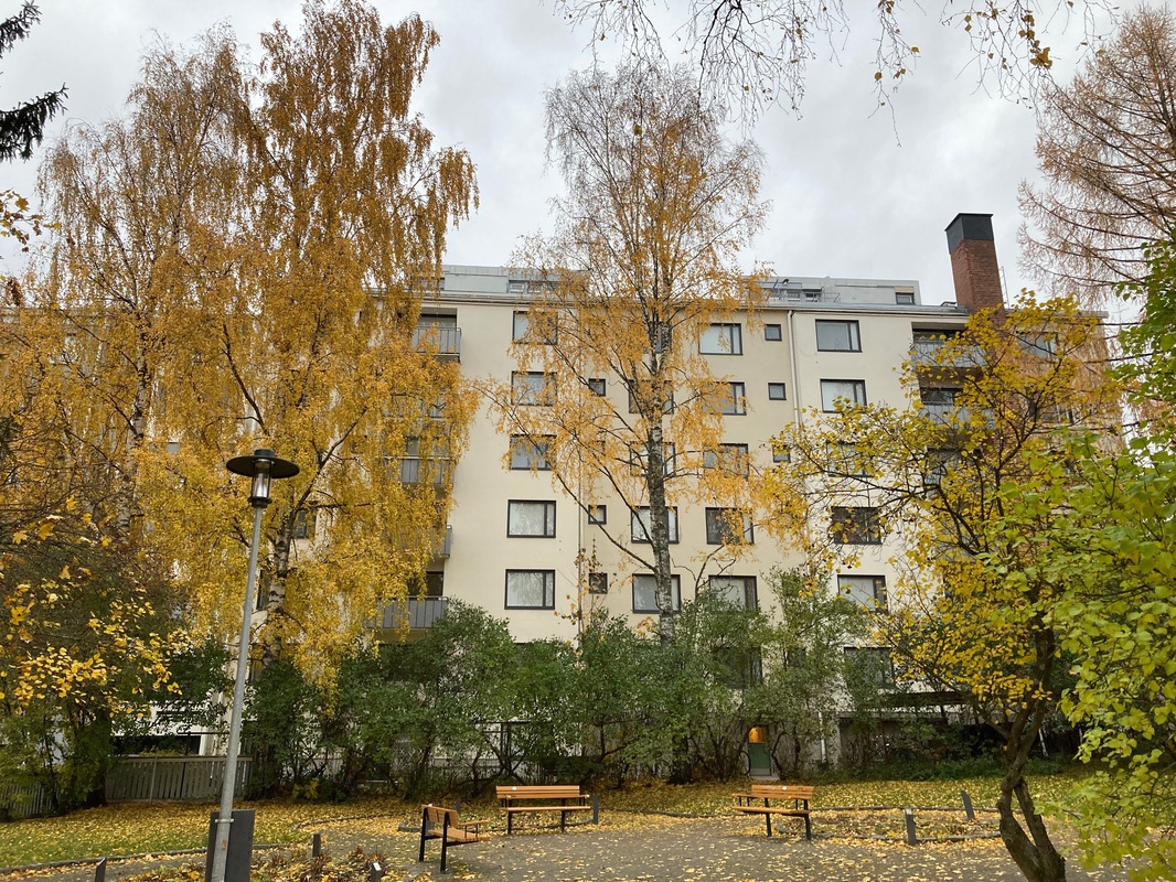 Savonkatu 7 sisäpihan puolelta