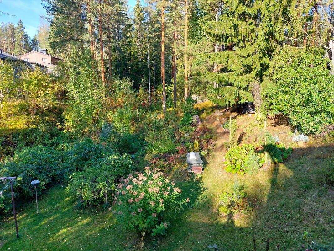 Sisäpiha