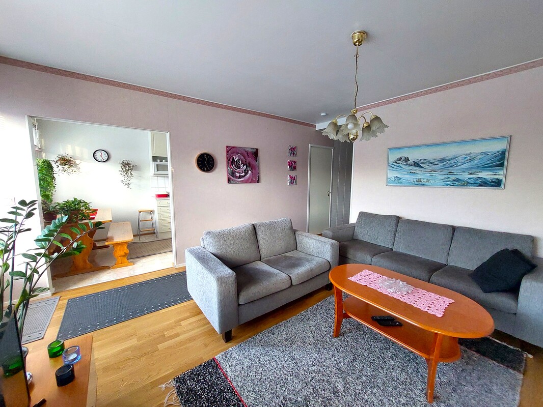 Olohuone / ruokailutila